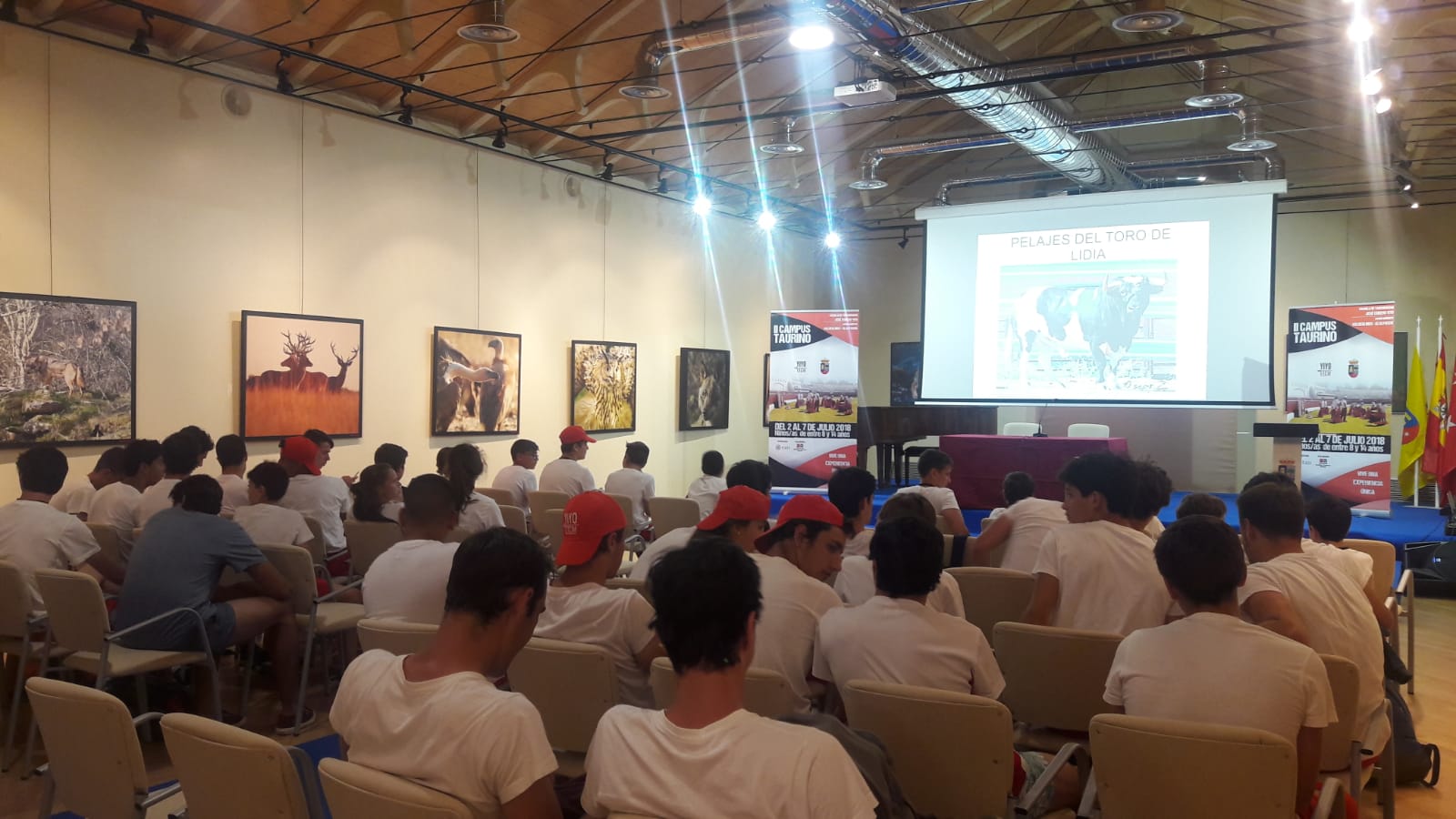 campus taurino pelajes