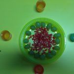 fIESTA DE oTOÑO cnv