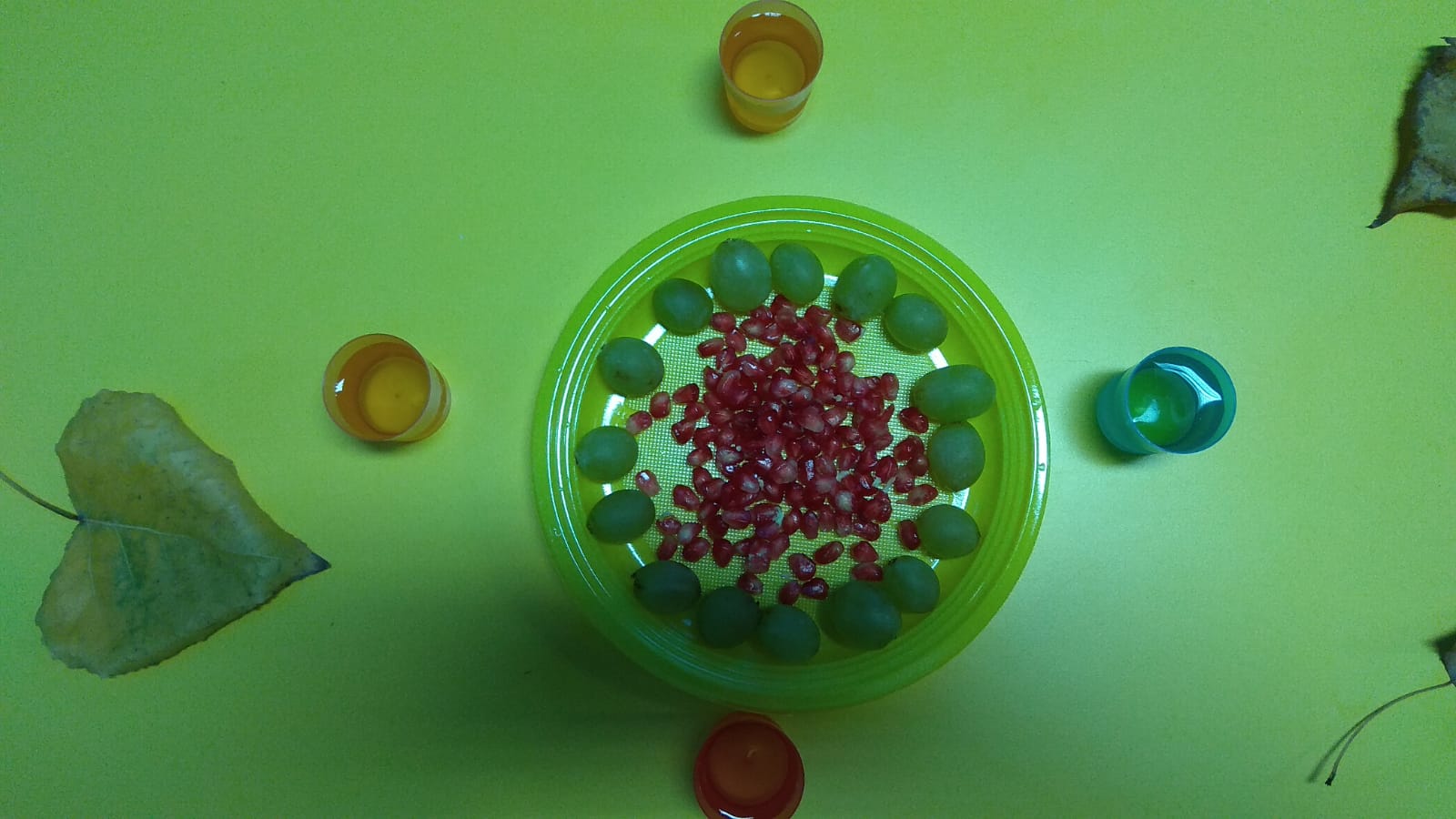 fIESTA DE oTOÑO cnv