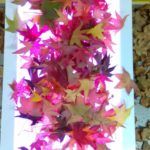 fIESTA DE oTOÑO cnv