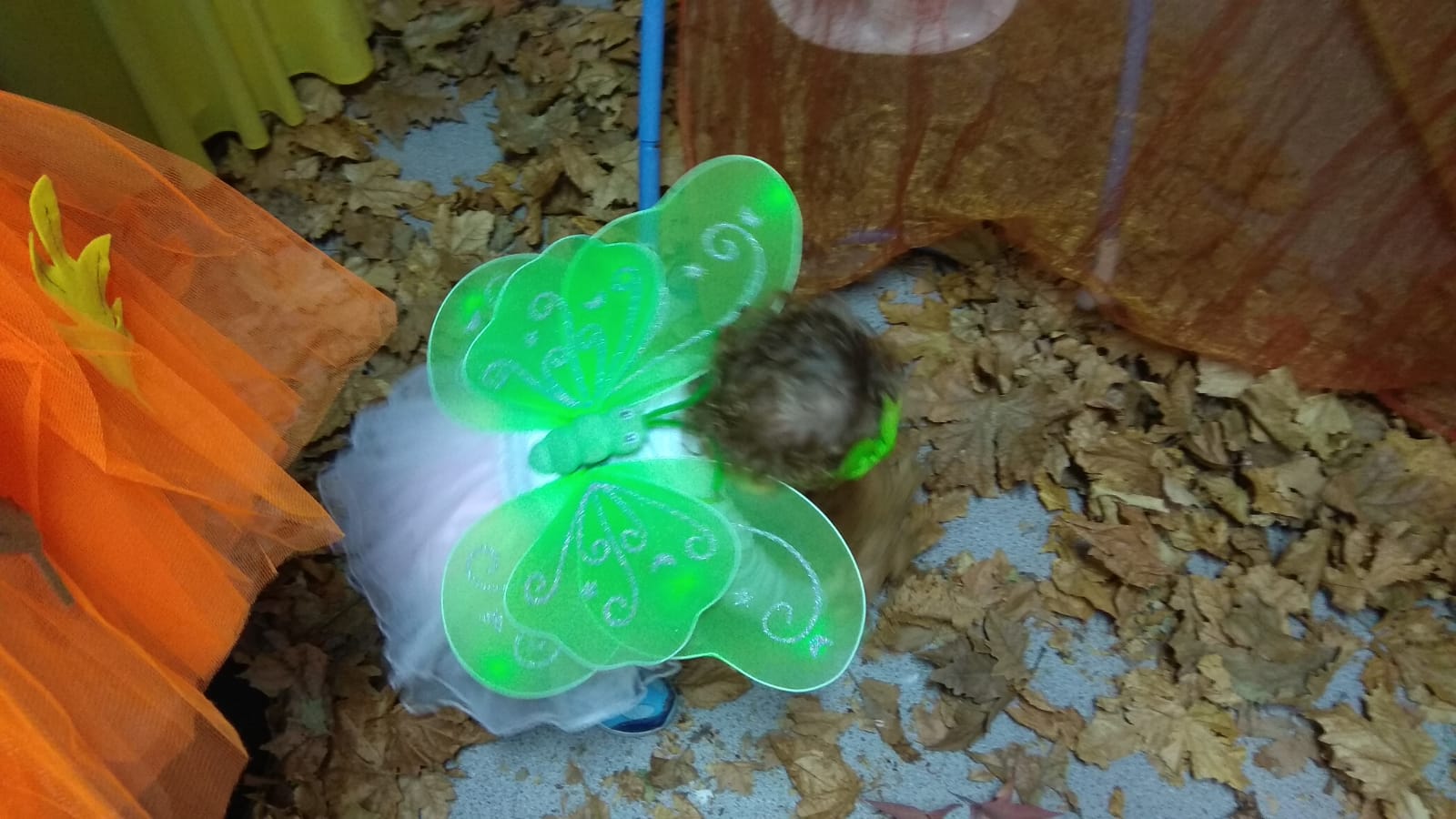 fIESTA DE oTOÑO cnv