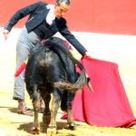 Feria del Aficionado Práctico