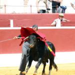 Feria del Aficionado Práctico