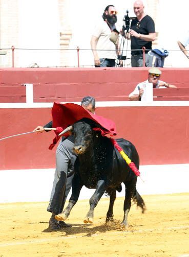 Feria del Aficionado Práctico