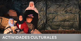 Actividades Culturales