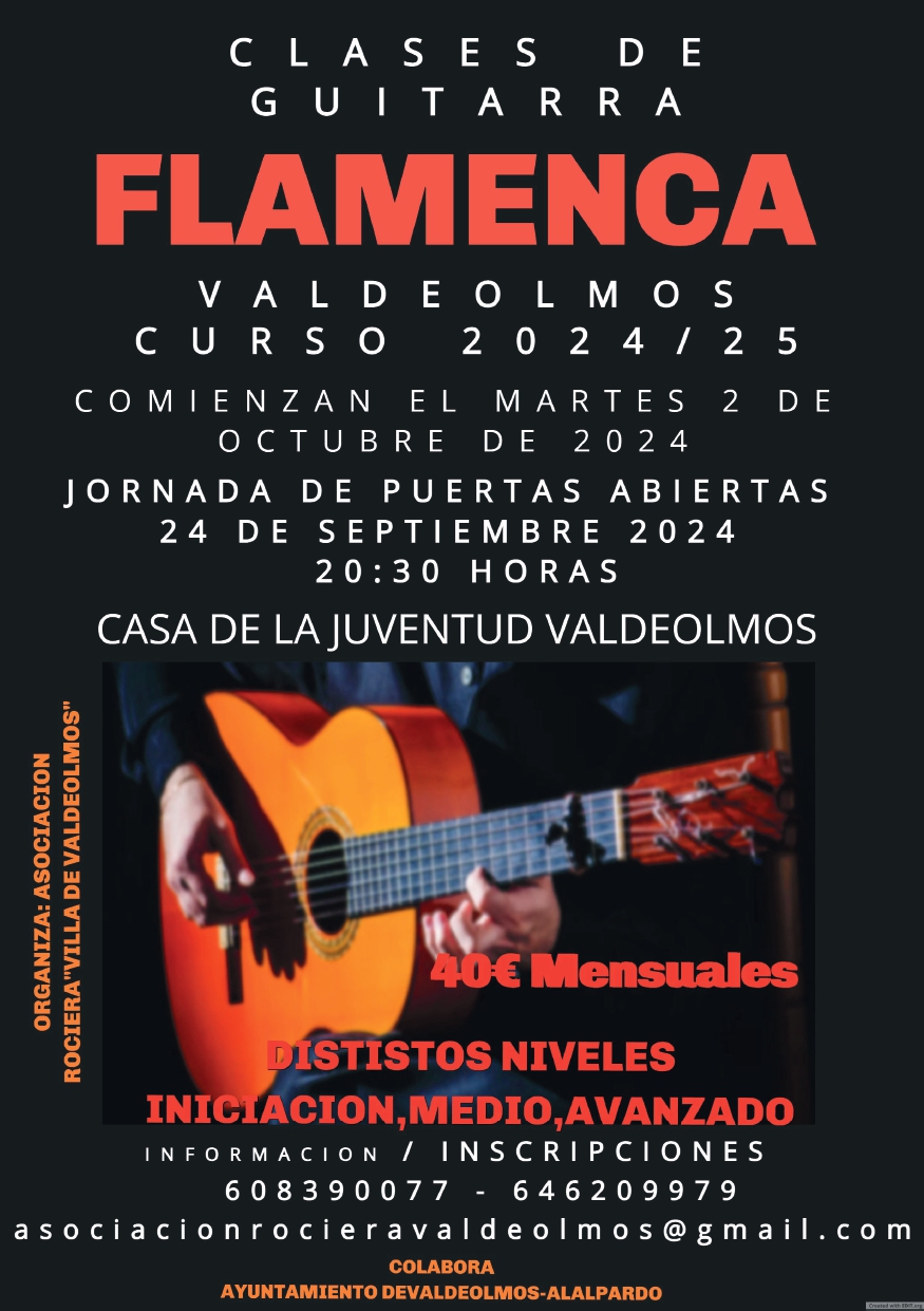 GUITARRA FLAMENCA_page-0001