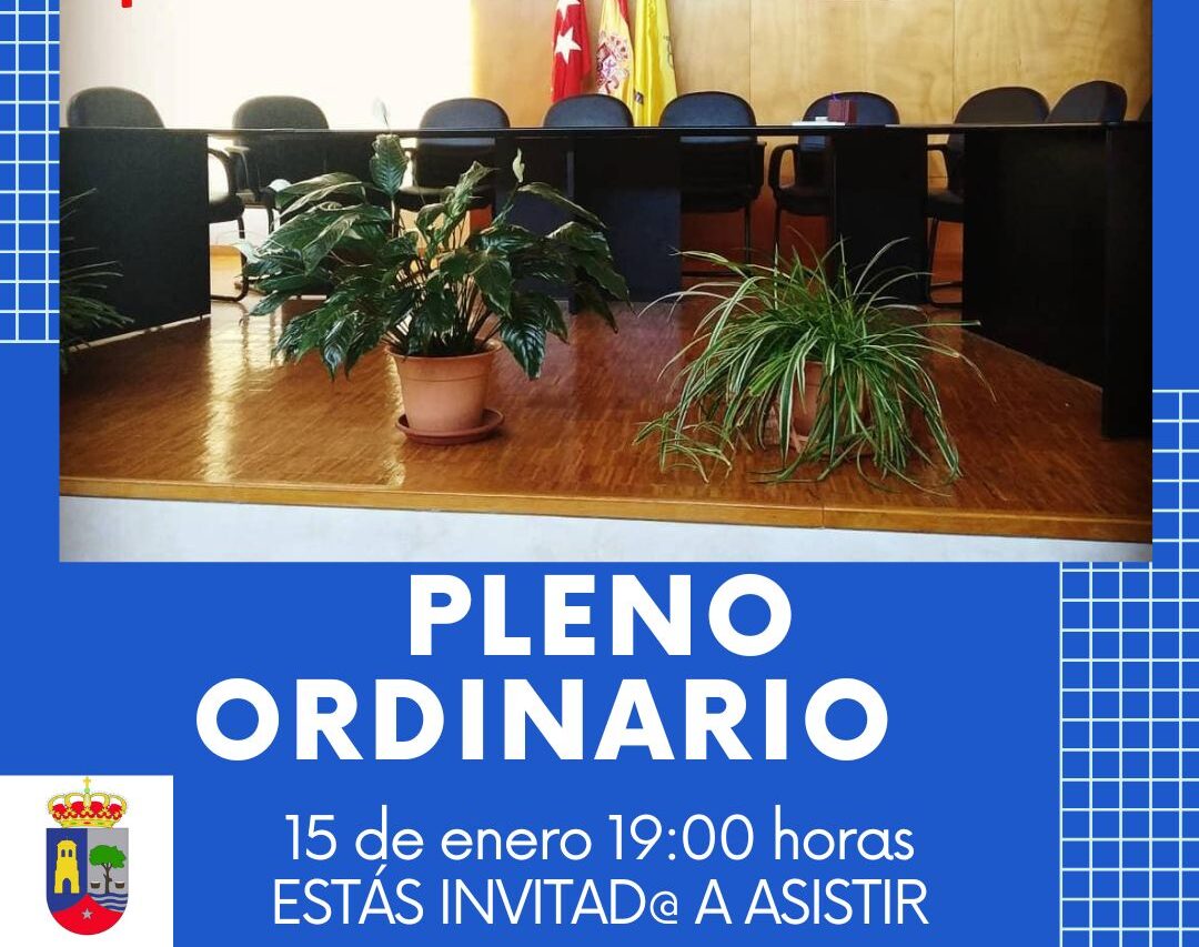 Copia de Pleno ordinario