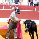 Feria del Aficionado Práctico