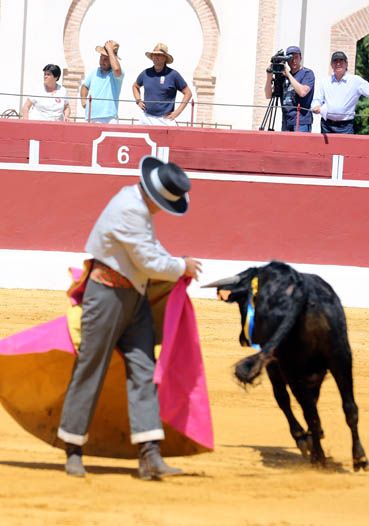 Feria del Aficionado Práctico