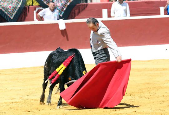 Feria del Aficionado Práctico