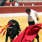 Feria del Aficionado Práctico