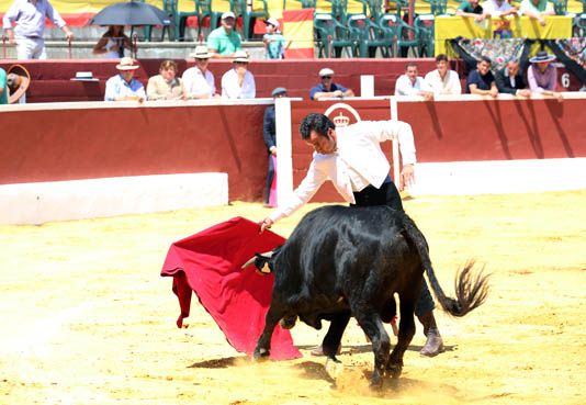 Feria del Aficionado Práctico