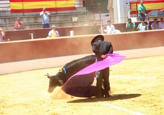 Feria del Aficionado Práctico