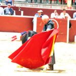 Feria del Aficionado Práctico