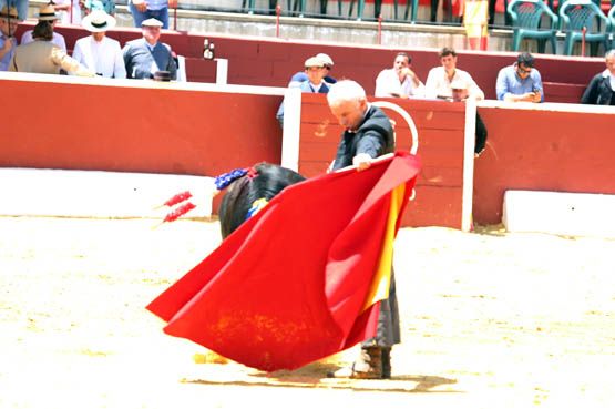 Feria del Aficionado Práctico
