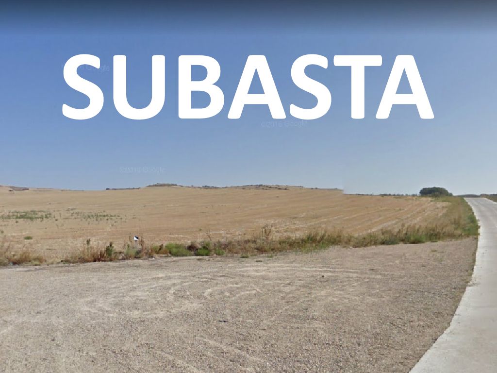 Subasta de tierras y pastos