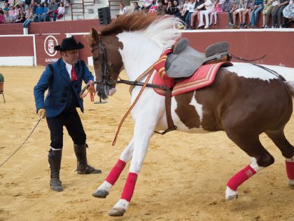 Espectáculo Ecuestre