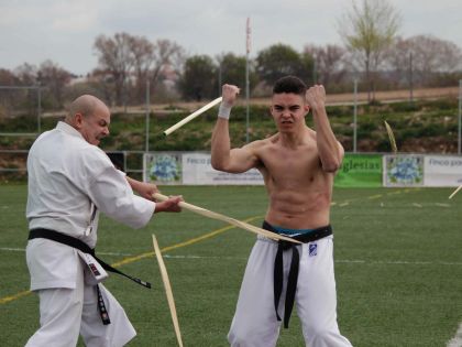 Exhibición Artes Marciales