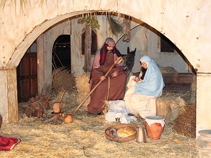 Belén Vviente Alalpardo
