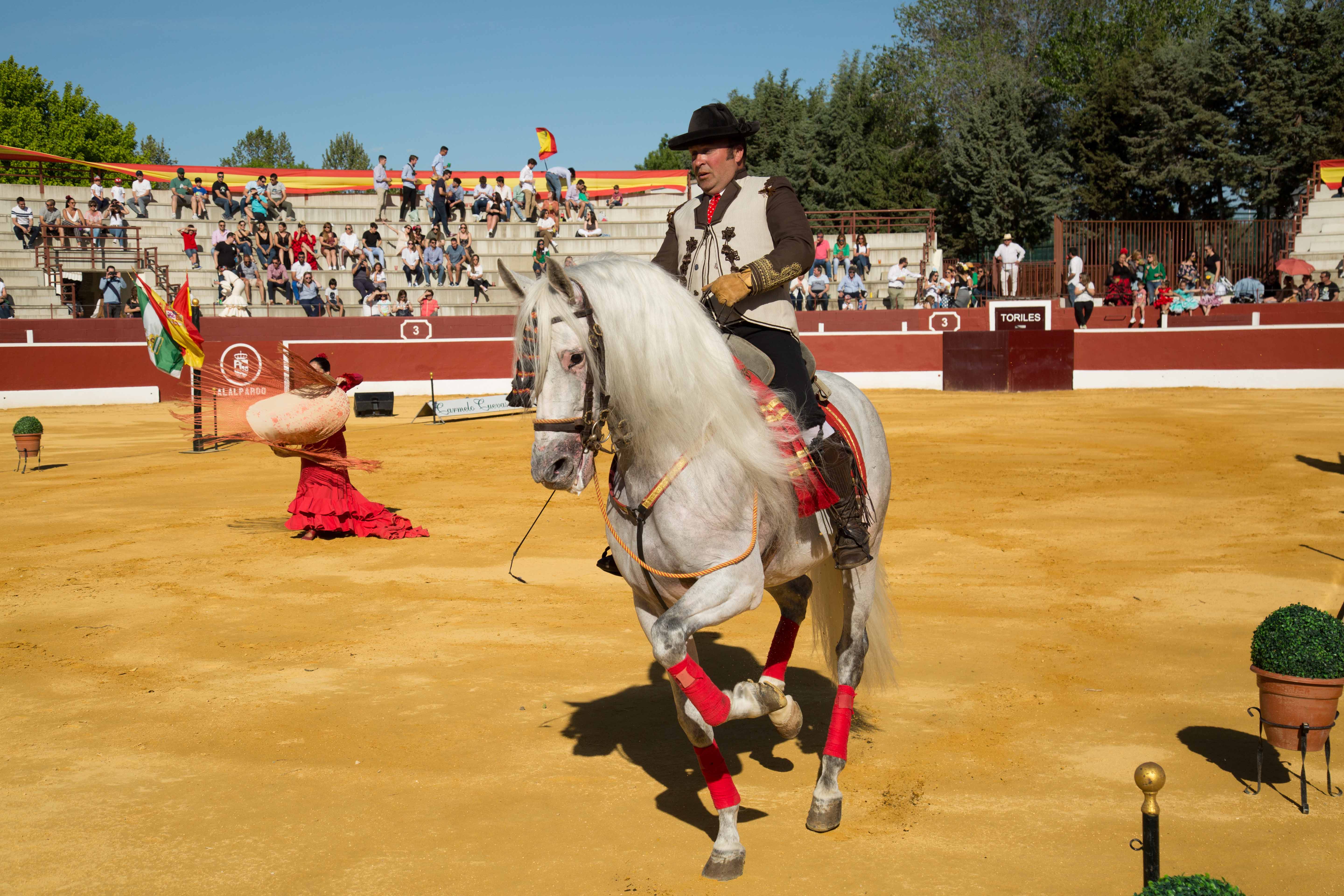 Espectáculo Ecuestre Carmelo Cuevas